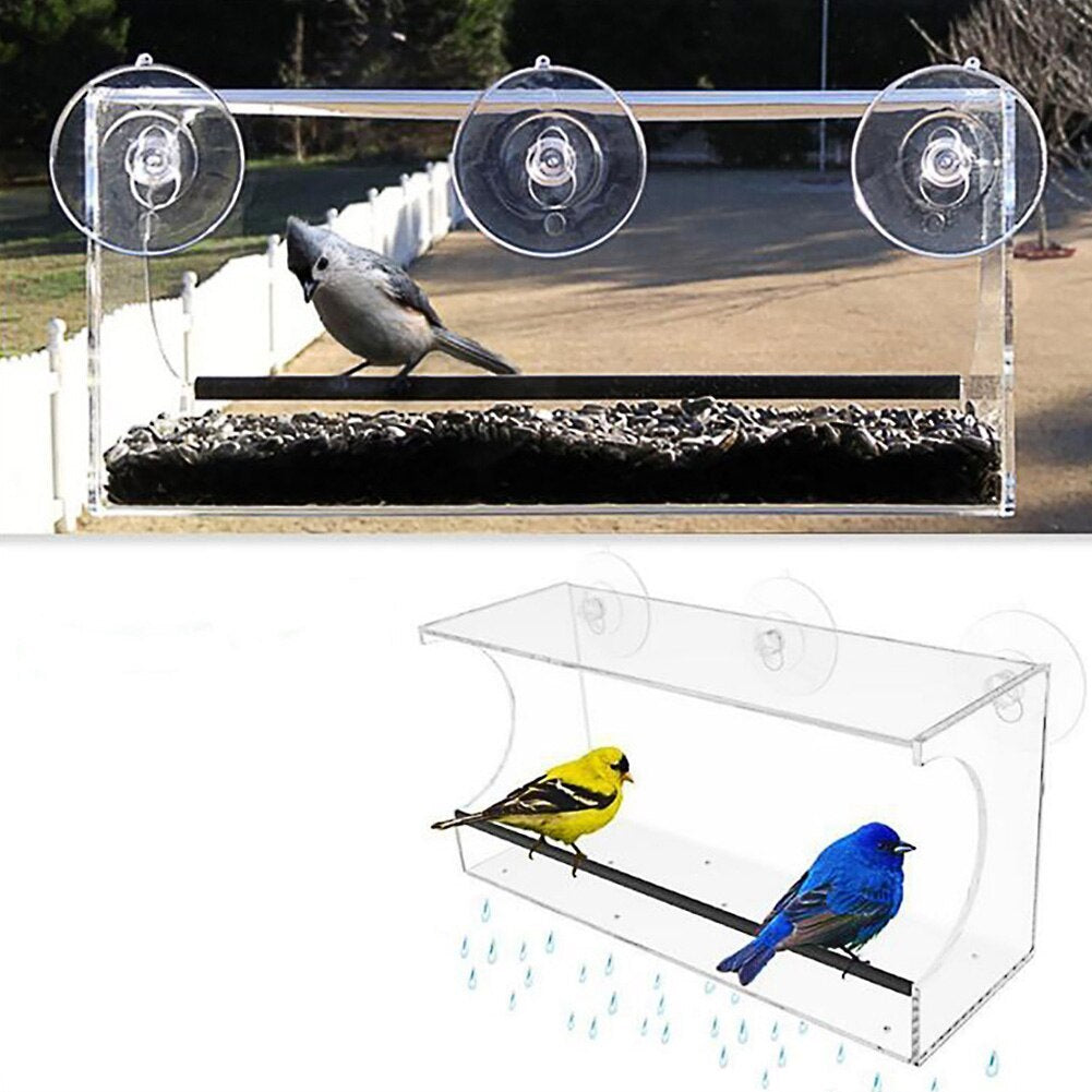 bird feeder