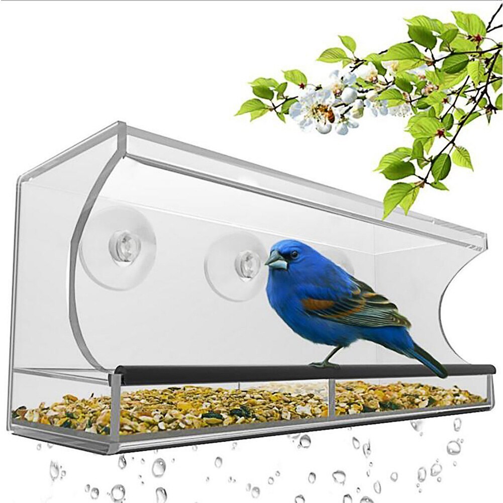 bird feeder