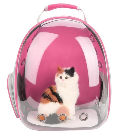 Bolsa para gatos Bolsa espacial para mascotas completamente transparente