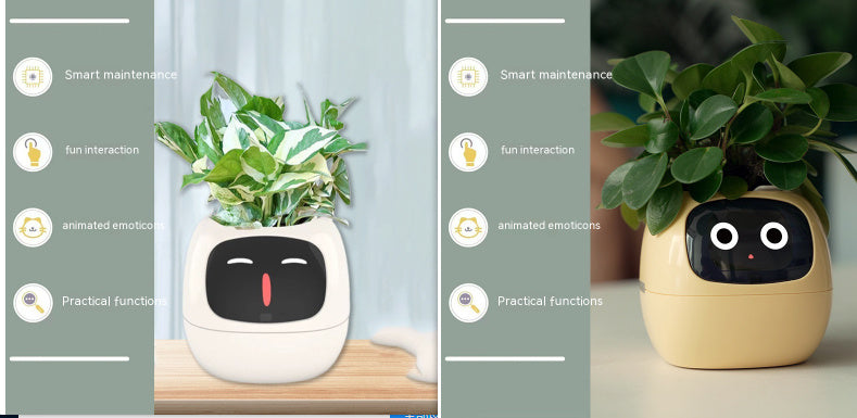 Smart Planter Endless Fun Over 49 Rich Expressions