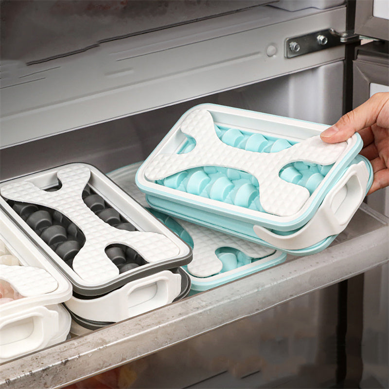 2 in 1 Ice Bottle, Ice Cube Tray with Lid