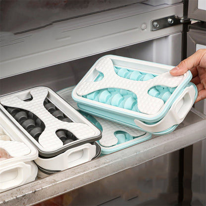 2 in 1 Ice Bottle, Ice Cube Tray with Lid