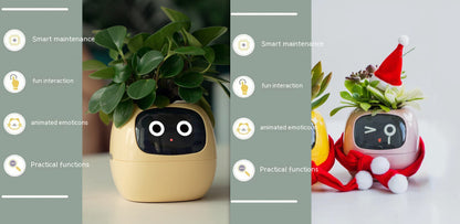 Smart Planter Endless Fun Over 49 Rich Expressions