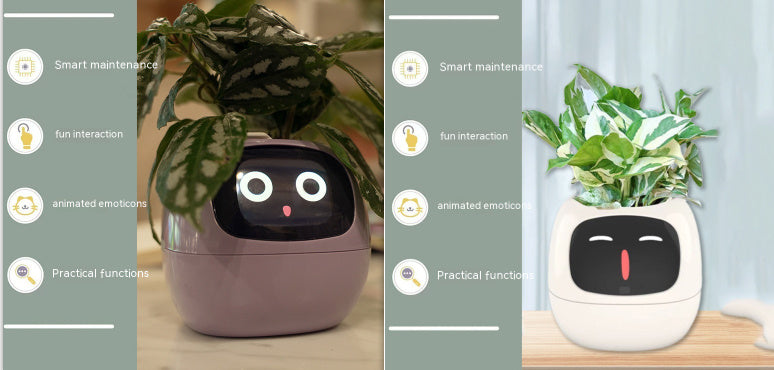 Smart Planter Endless Fun Over 49 Rich Expressions