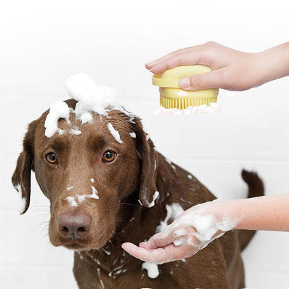 pet brush